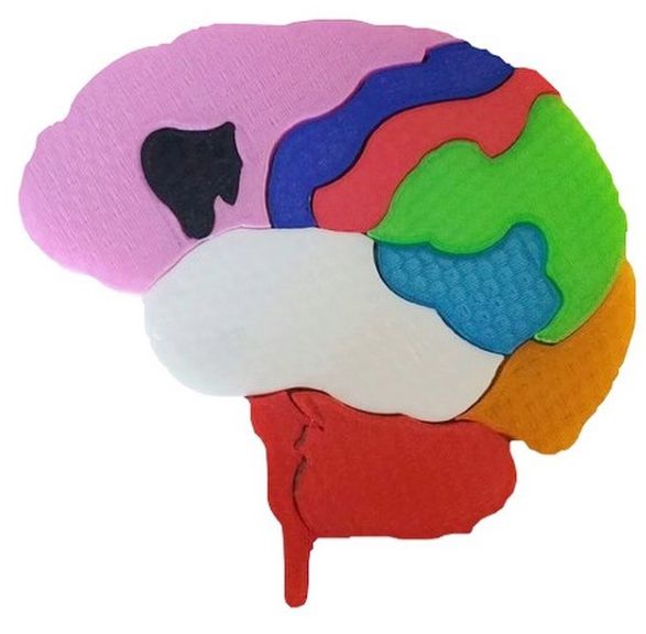 Quebra cabeças é diversão e desenvolvimento para o cérebro