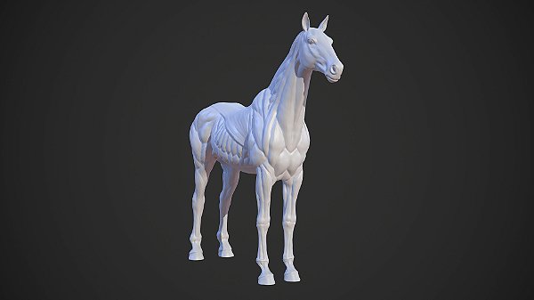 Anatomia do Cavalo em 3D