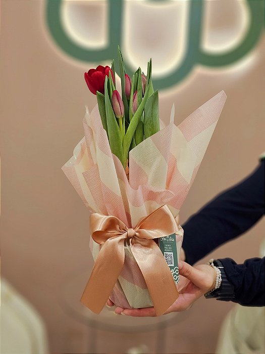 Tulipa Decorada