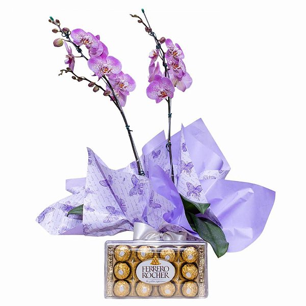 Orquídea e Ferrero Rocher - Floricultura Flor & Arte