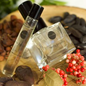 Perfume Terra Brasilis - 10ml