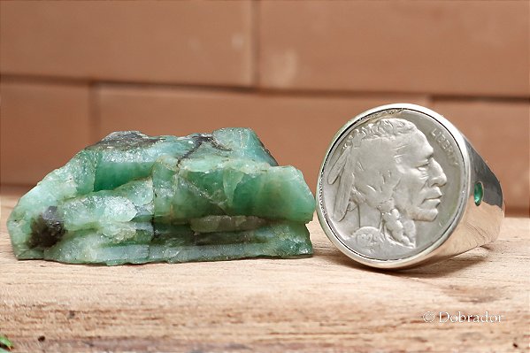 Chevalier Buffalo Nickel