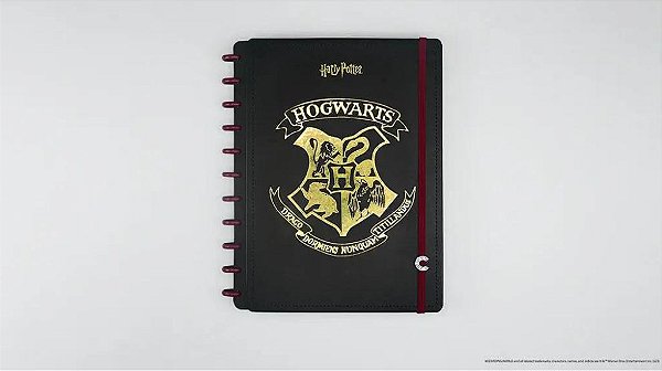 CADERNO INTELIGENTE BY HARRY POTTER