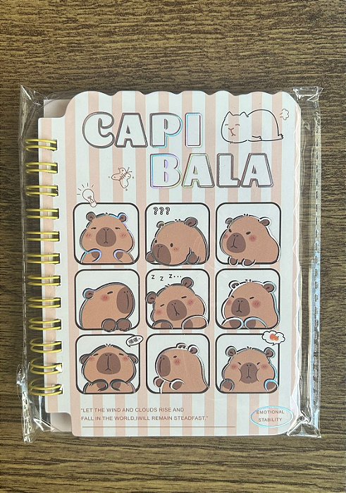 CADERNINHO DE CAPIVARA