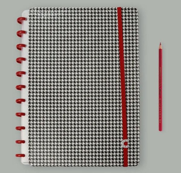 CADERNO INTELIGENTE PRINCIPE DE GALES