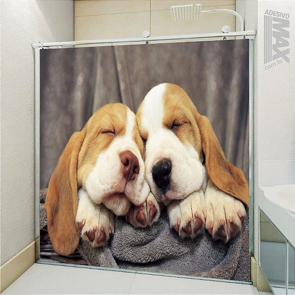 Adesivo Box - Beagle 02