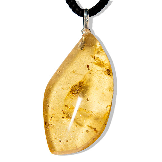 Colar Ambar Natural Montagem Pino e Presilha Prata 950