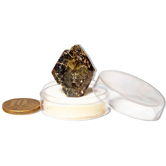 Esfênio Titanita Verde Mineral Natural No Estojo Para Colecionador Exigente