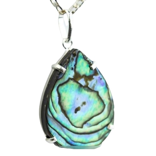 01 Pingente Nlux Gota Concha de Abalone Montagem na Prata 950 Garra