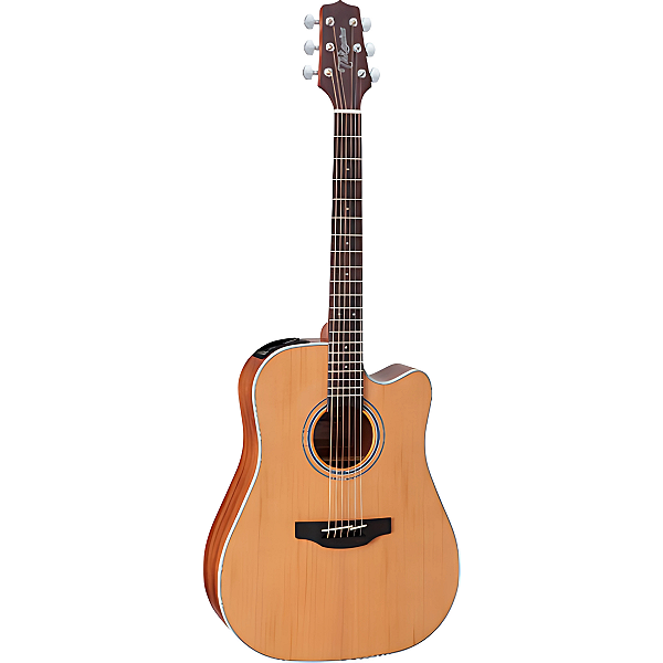 VIOLAO TAKAMINE GD20CE NS FOSCO & TP4TD