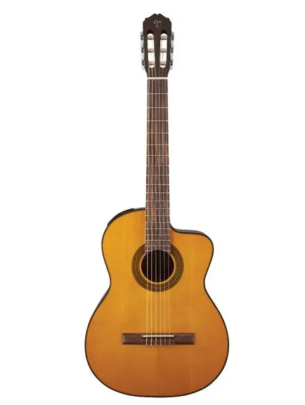 VIOLAO TAKAMINE GC 1CE N & TP-4T