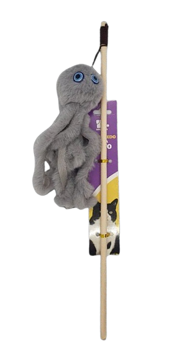 Varinha de gato- Polvo