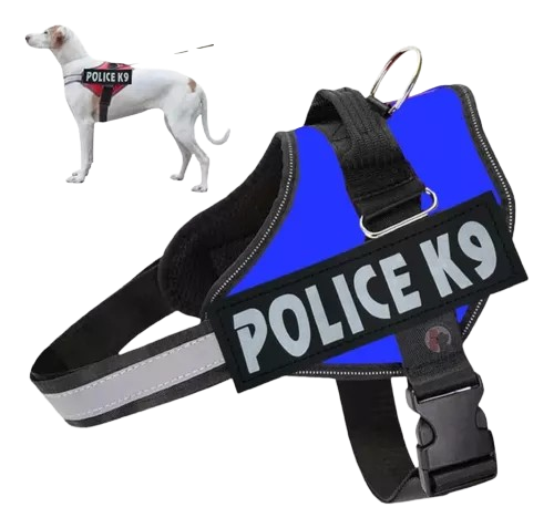 Peitoral Policia