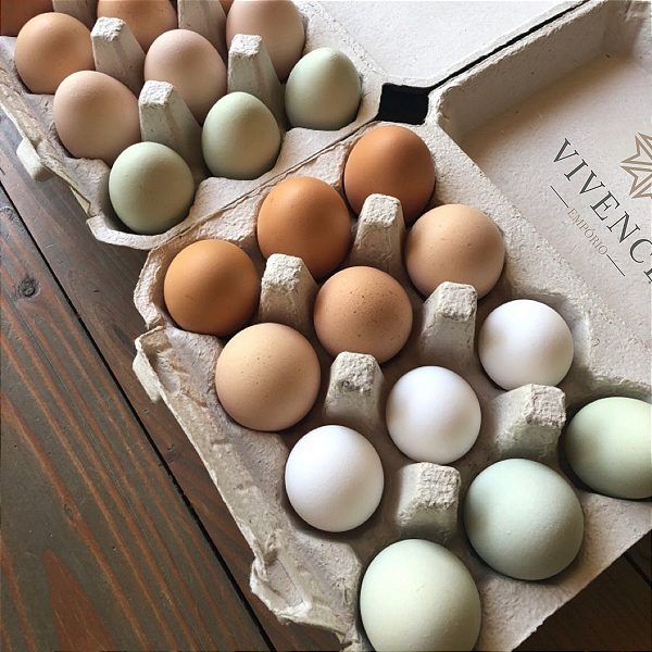 Ovo Caipira 12 unidades Vivence Empório