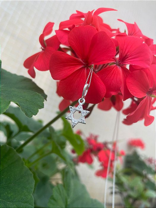 Colar Estrela de David - Prata 925