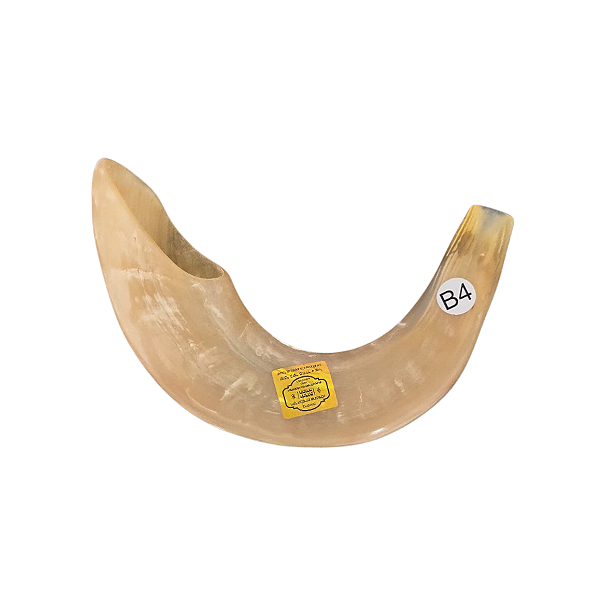 Shofar B4 - Importado de Israel