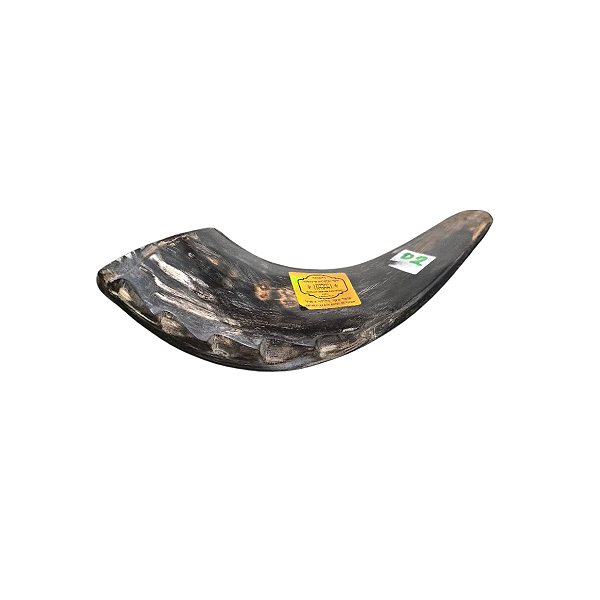 Shofar E1 - Importado de Israel