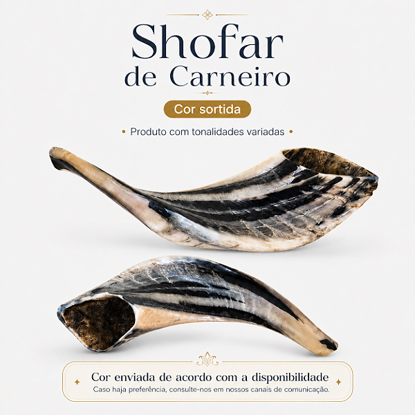 Shofar D2 - 100% Kosher Importado de Israel - cor sortida