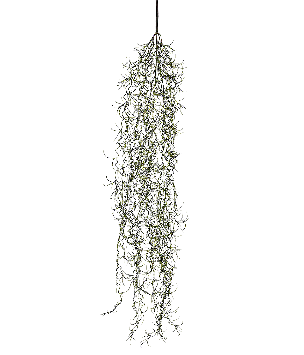 FOLHA ALFINETE VERDE