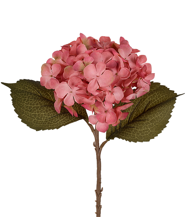 HASTE HORTÊNSIA SILVESTRE BLUSH