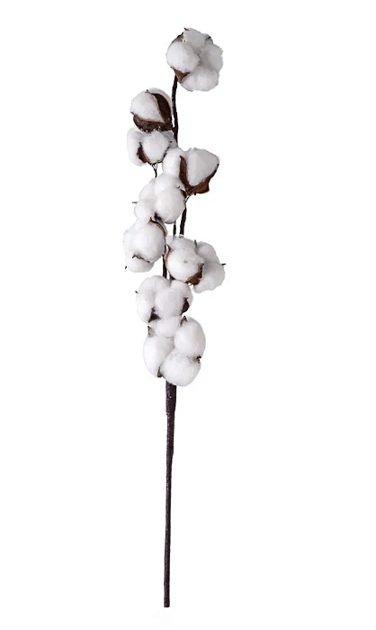 FLOR DE ALGODÃO PRESERVADA
