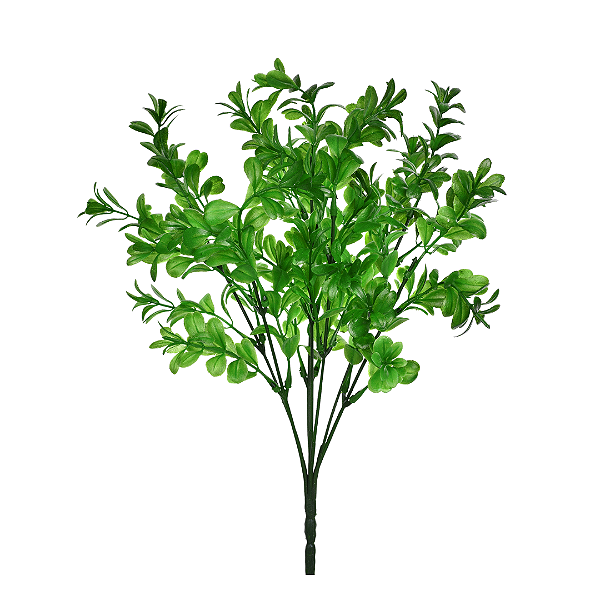 BUQUE FOLHAS DE CHÁ VERDE