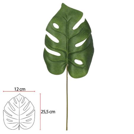 FOLHA COSTELA DE ADÃO 32cm