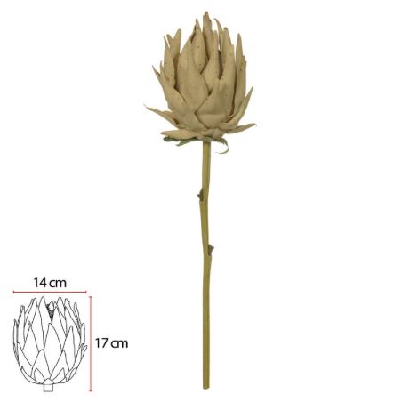 HASTE PROTEA PALHA 53cm