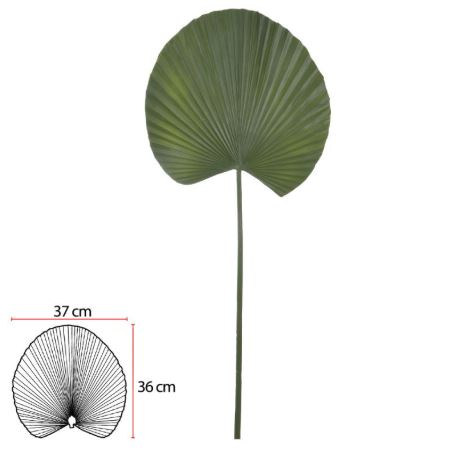 FOLHA PALMA LEQUE 100cm