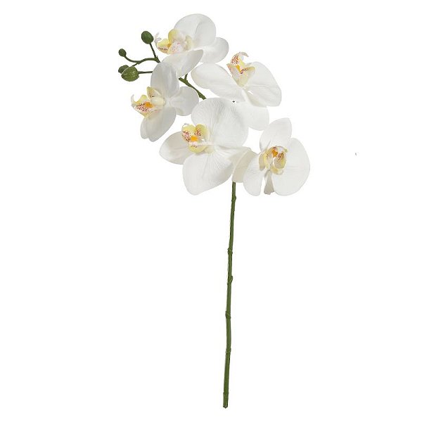 HASTE DE ORQUÍDEA PHALAENOPSIS TOQUE REAL - BRANCO