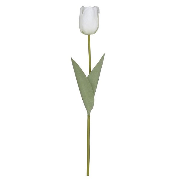 TULIPA REAL TOQUE BRANCA