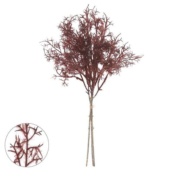 ASTILBE MARSALA EM RAMALHETE 40CM