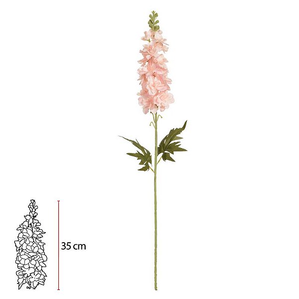 DELFINIUM ROSA