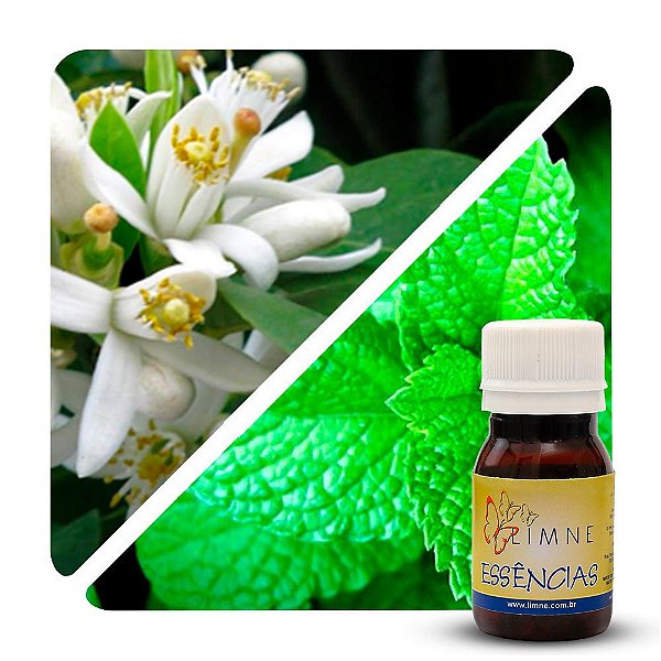 ESSÊNCIA FLOR DE LARANJEIRA COM HORTELÃ 30ML