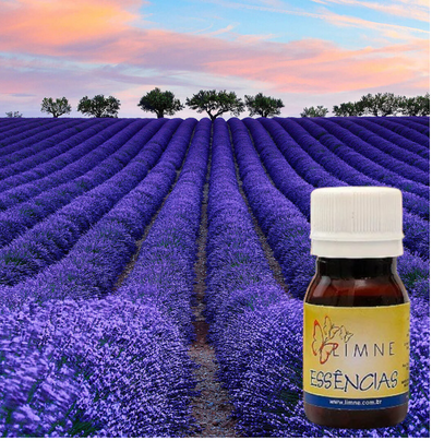 ESSÊNCIA LAVANDA FRANCESA 30ML