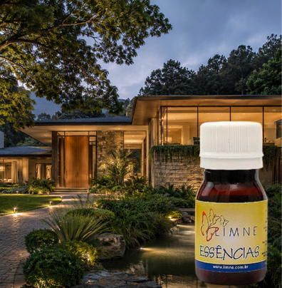 ESSÊNCIA ARTEMÃO 30ML