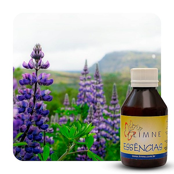 ESSÊNCIA LAVANDA INGLESA