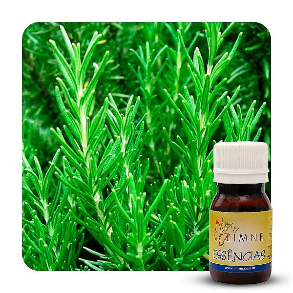 ESSÊNCIA ALECRIM 30ML