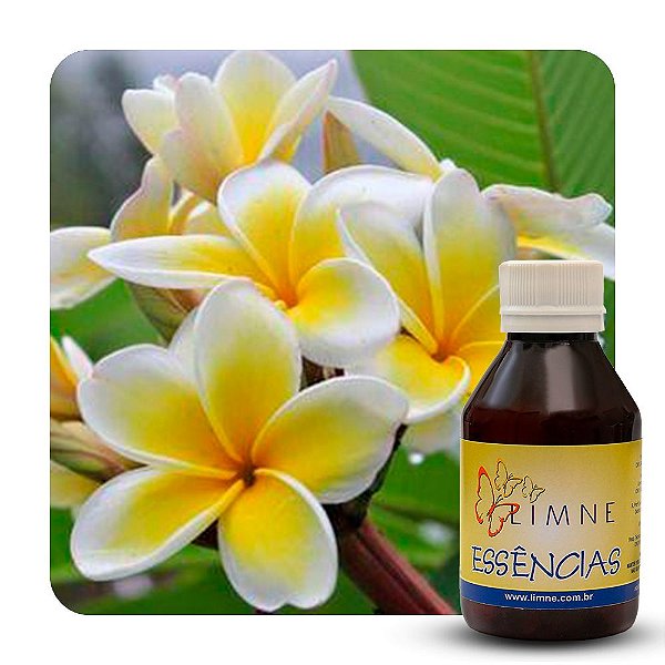 ESSÊNCIA JASMIM 100ML