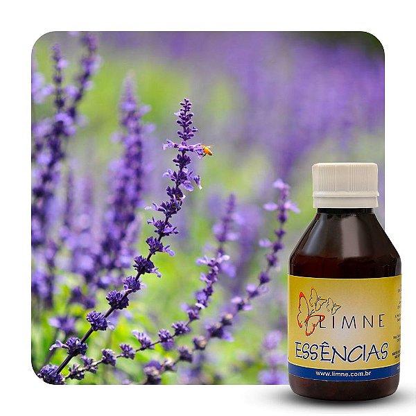 ESSÊNCIA ALFAZEMA 100ML