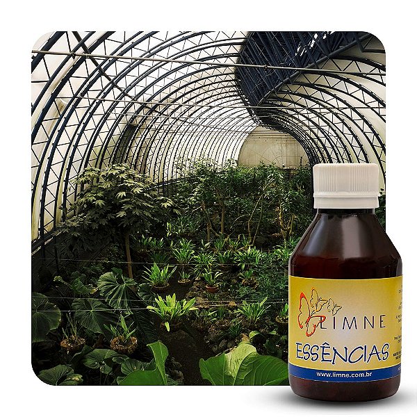 ESSÊNCIA BOTANIK 100ML