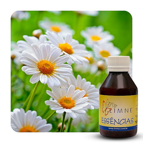 ESSÊNCIA CAMOMILA 100ML