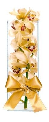 Orquidea moderna - Disponível nas cores: Branca e Lilas