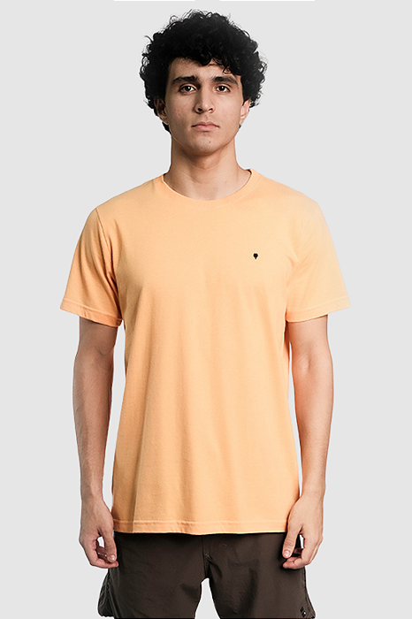Camiseta Aflora