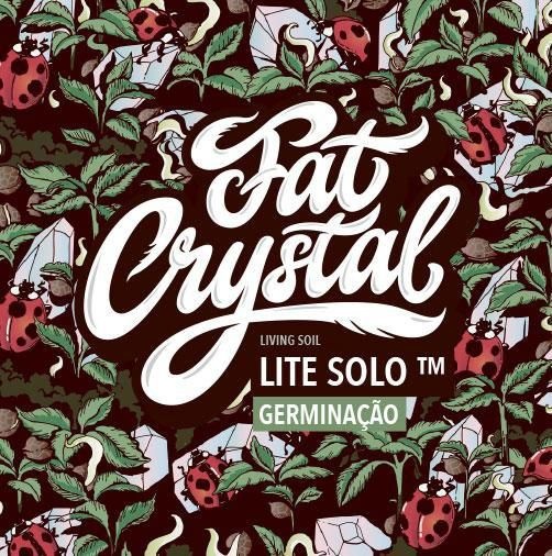 Fat Crystal Solo Vivo - GERMINAÇÃO 20 Litros