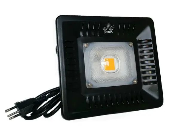 Painel Led BioLedz Cob 50w - Bivolt