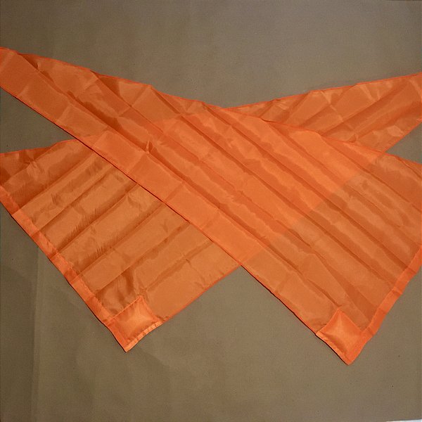 Swing Bandeira Triangular Profissional (Flag)