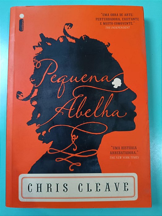 Pequena Abelha, de Chris Cleave