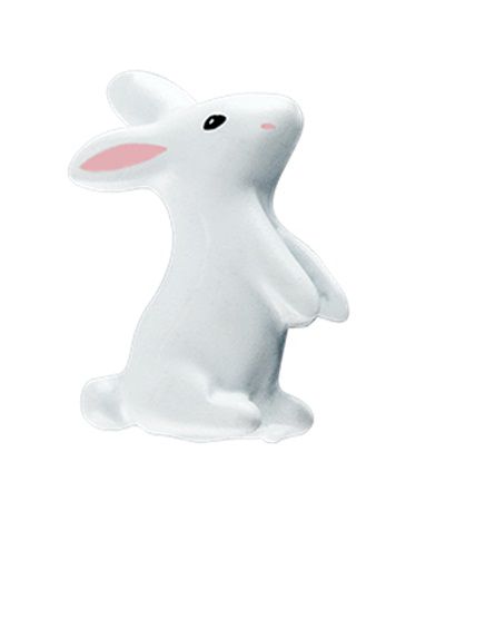 Charm - Coelho Especial