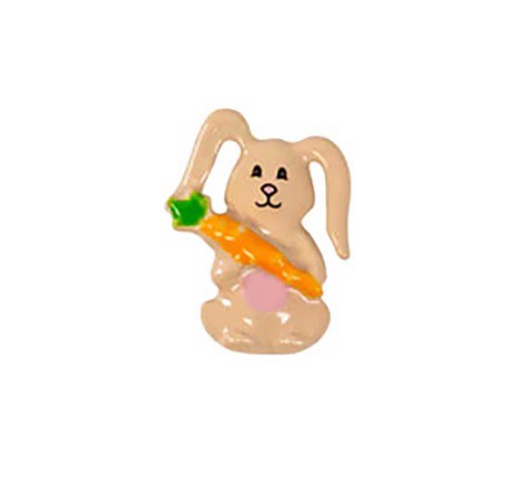 Charm - Coelho Com Cenoura Especial